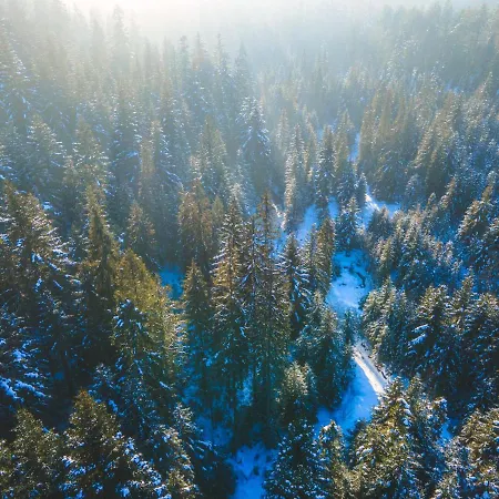 Lesna Bacowka * Nowy Targ