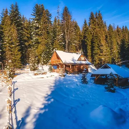 Domek alpejski Leśna Bacówka