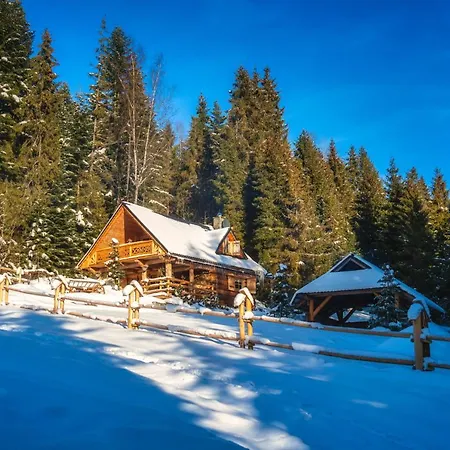 Domek alpejski Leśna Bacówka
