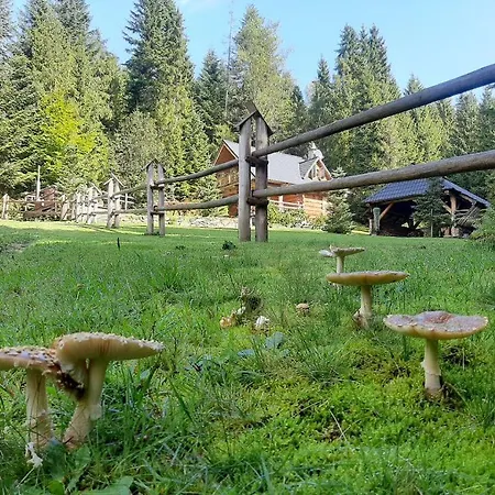 Chalet Lesna Bacowka *
