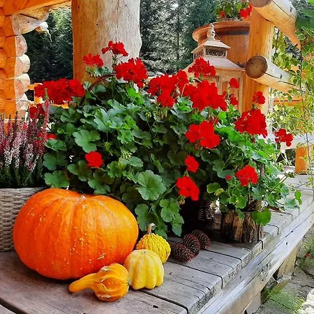 Lesna Bacowka Alpehytte *