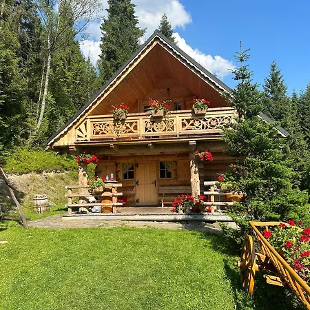 Leśna Bacówka Domek alpejski Nowy Targ