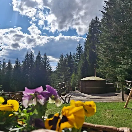 Chalet Lesna Bacowka Nowy Targ
