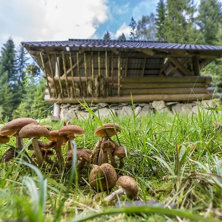 Lesna Bacowka * Nowy Targ