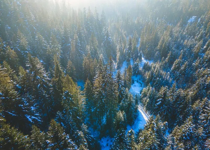 Lesna Bacowka * Nowy Targ