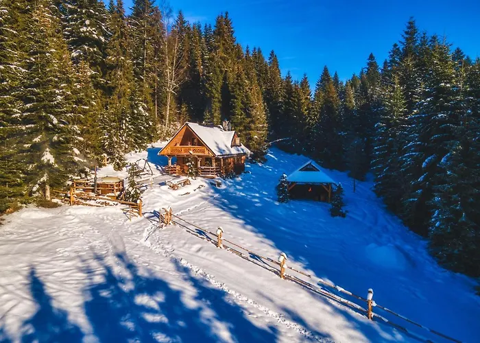 Lesna Bacowka Chalet