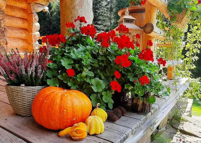 Lesna Bacowka Chalet *